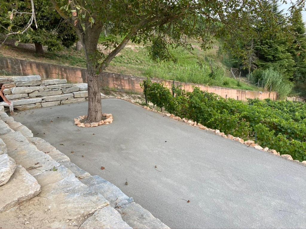 Giarvino Boutique Guest House Acqui Terme Luaran gambar
